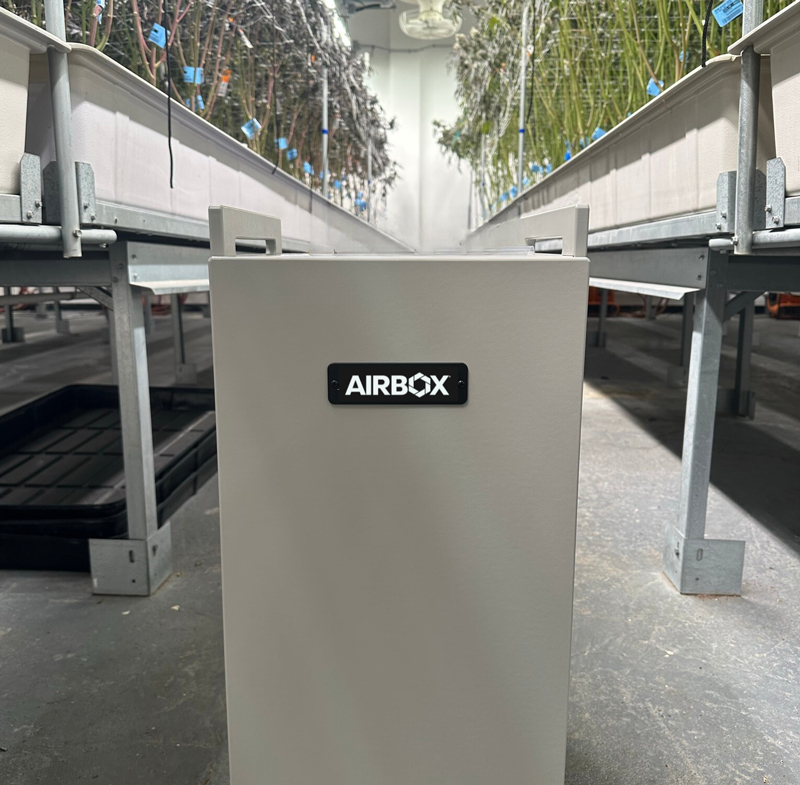 21Untitled-design-(4)-(1)